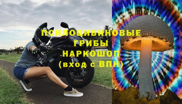 марки lsd Богородицк