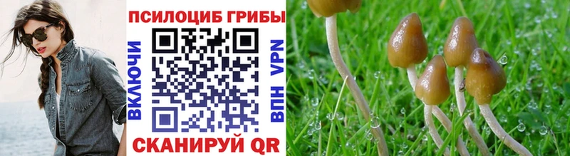 Псилоцибиновые грибы MAGIC MUSHROOMS  Пионерский 