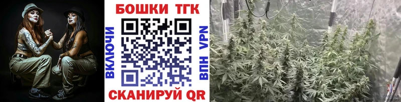 Бошки Шишки семена mega Пионерский